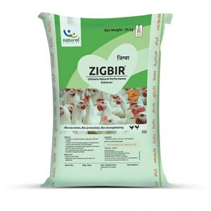 ZIGBIR natural liver supplement