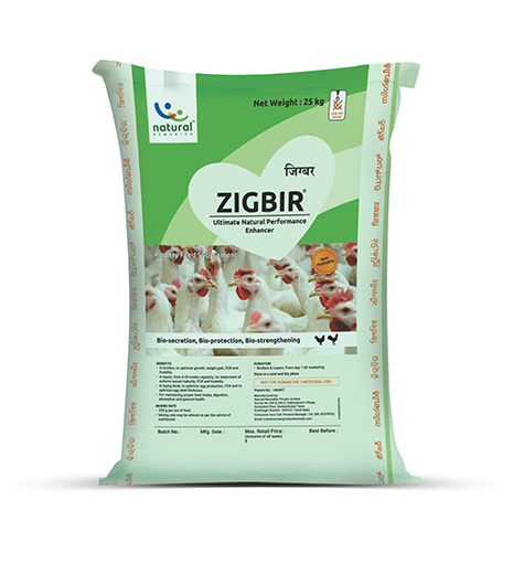 ZIGBIR natural liver supplement