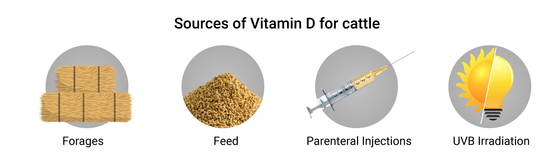 Vitamin D for Cattle