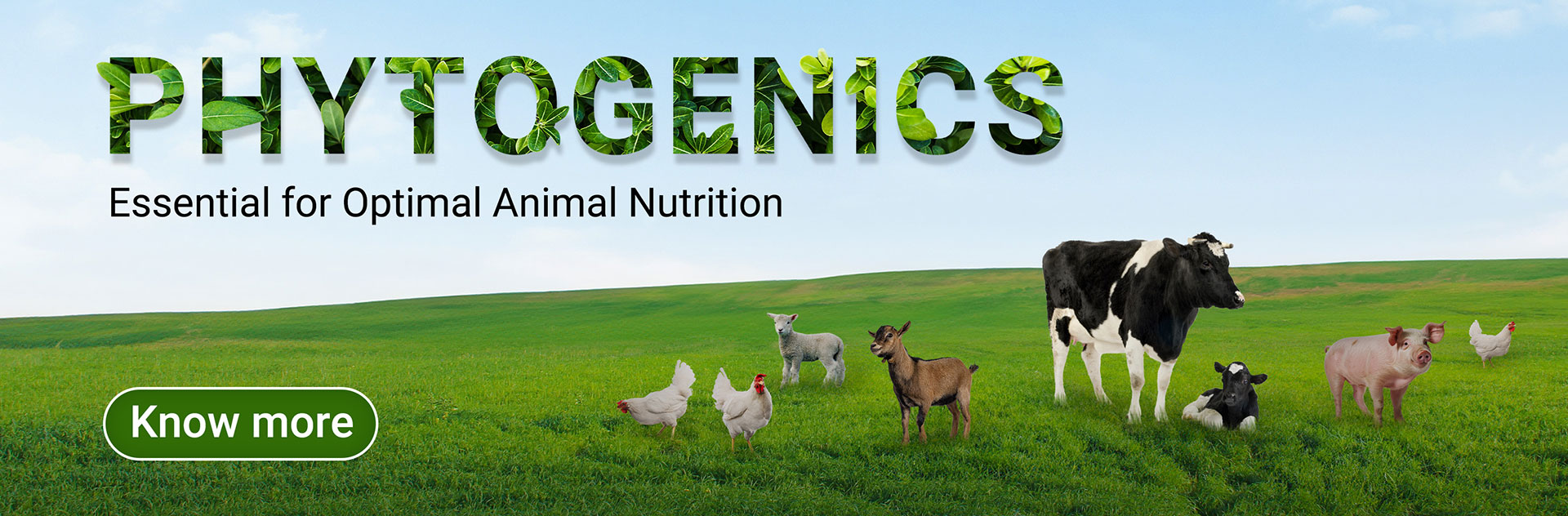 PZ NR Website Banner Animal Nutrition