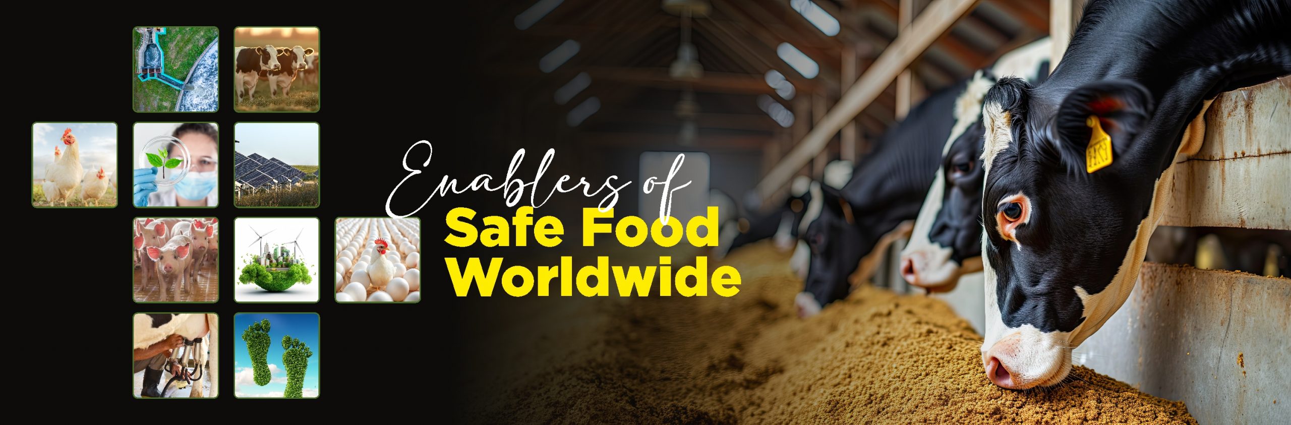 Enablers of Safe Food