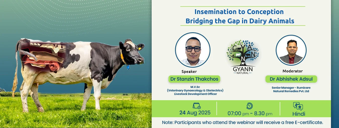 Gyann web Aug 1350x511