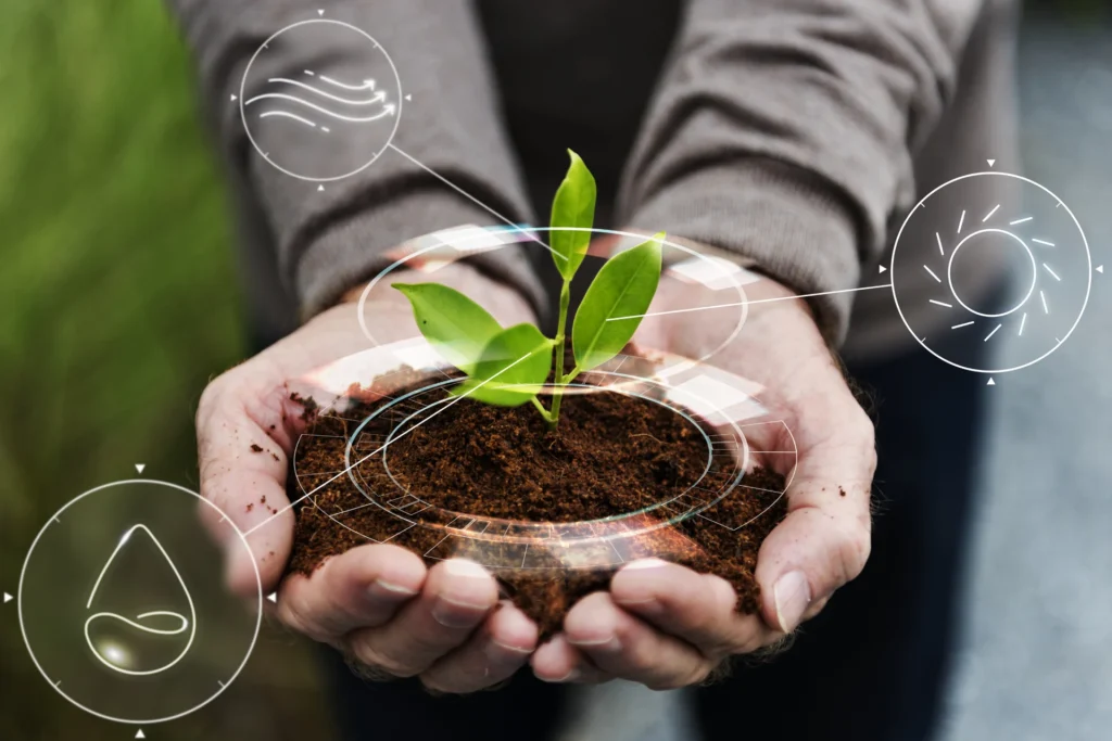 Sustainability Our Culture