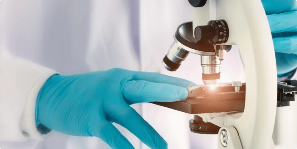 analytics instru big 1