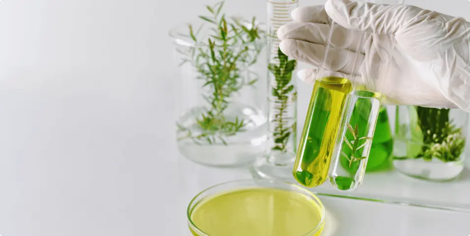 formulation dev big 1