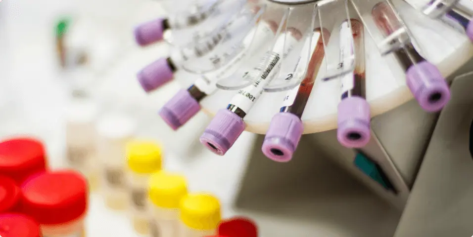 pharmacology toxicology 1