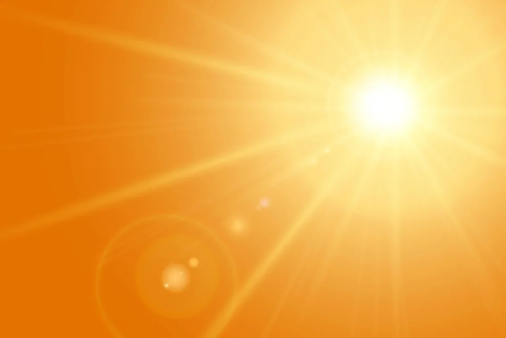 7253952 1 2048x1365 1